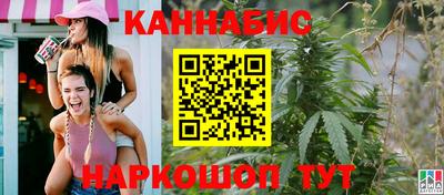 гидра Нальчик